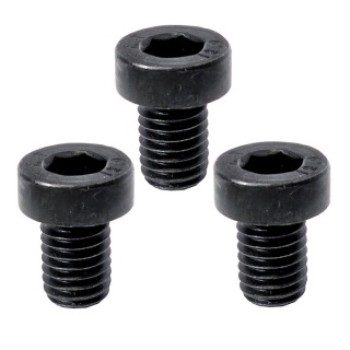 25528 | Screw Socket Cap M8x1.2.5x12mm